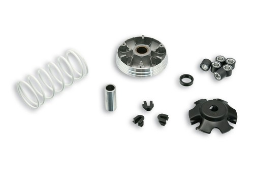 5111597 variatore malossi - variatore,