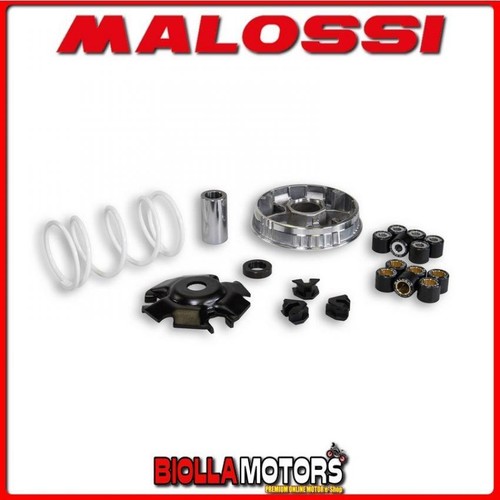 5111258 variatore malossi - 5111258,