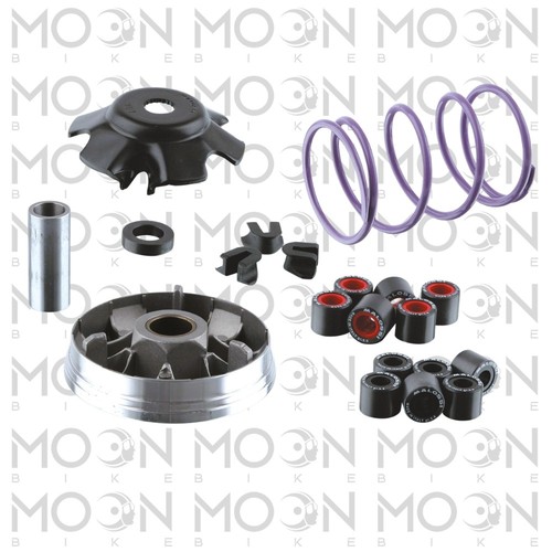 Malossi 5111194 variatore