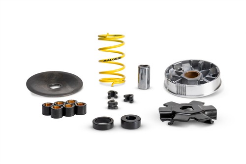 513863 variatore malossi - 513863,