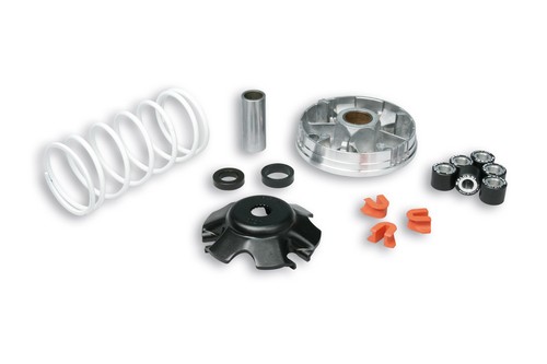 519019 variatore malossi - 519019,