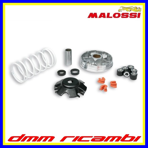 Variatore malossi multivar - malossi,