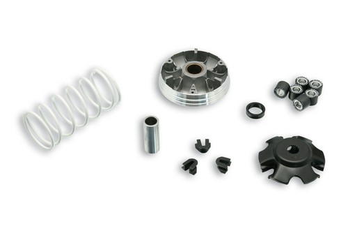 Variatore malossi multivar - variatore,