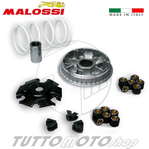 Variatore malossi piaggio - variatore,