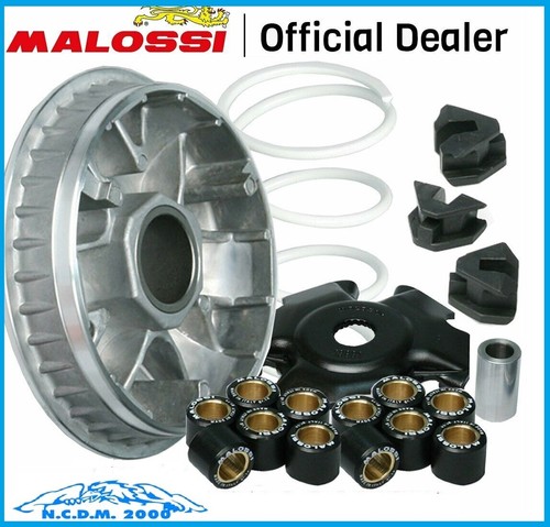 Variatore malossi multivar - malossi,