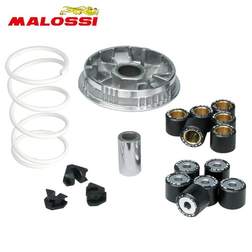 Variatore malossi multivar - variatore,