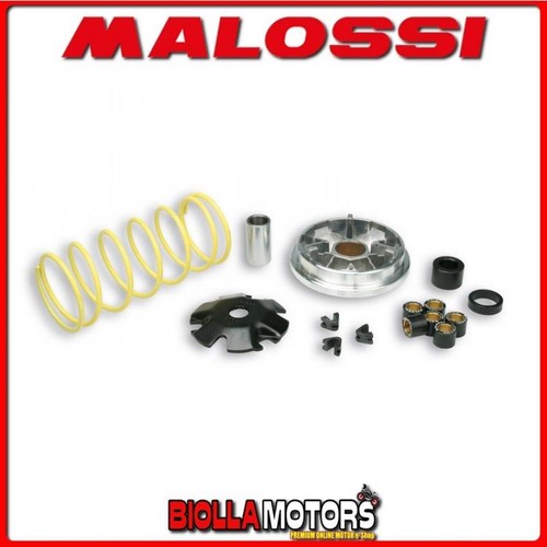 517081 variatore malossi - variatore,