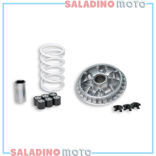 Variatore malossi multivar - variatore,