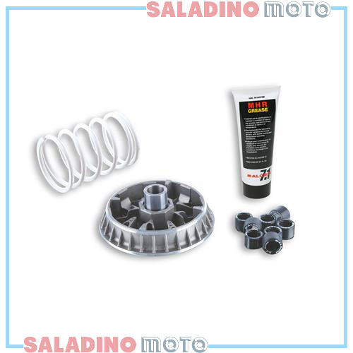 Variatore malossi multivar - malossi,