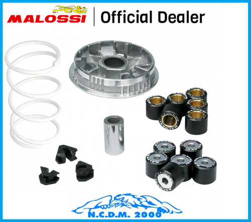 Malossi variatore multivar - malossi,