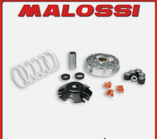 519019 variatore malossi - 519019,