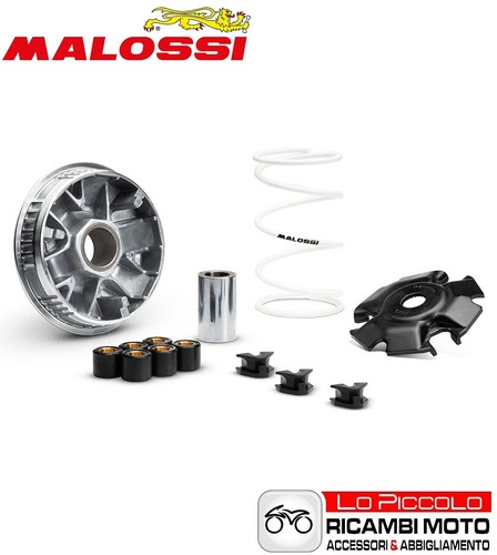Kit variatore malossi - variatore,