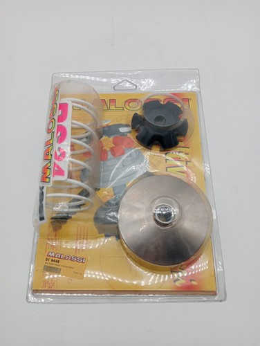 519448 variatore malossi - 519448,