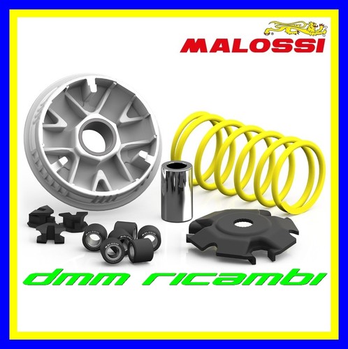 Variatore malossi multivar - malossi,